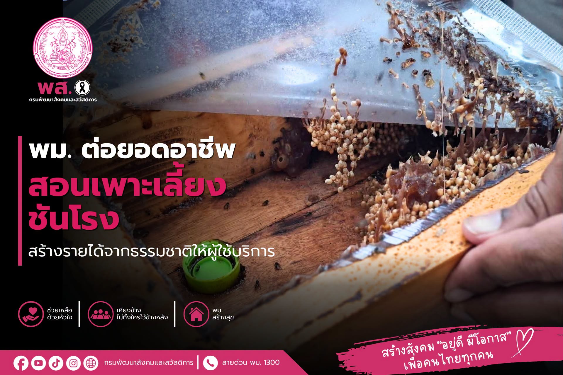 ภาพกิจกรรม