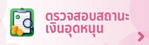 ตรวจสอบสถานะการรับเงินอุดหนุน